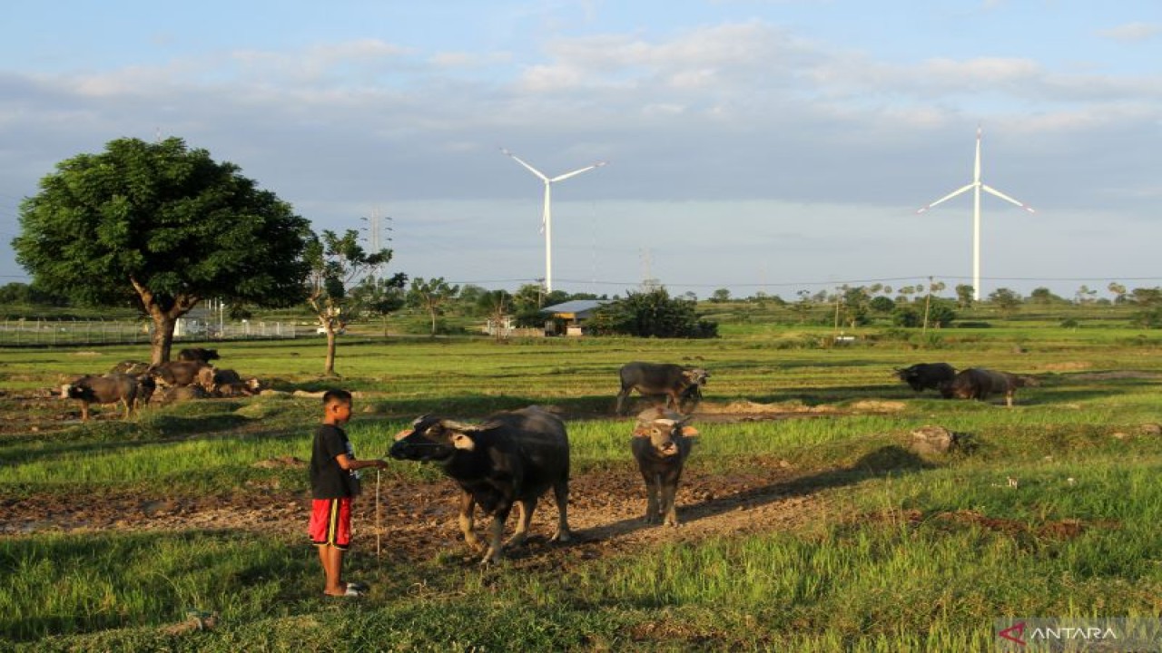 Pembangkit Listrik Tenaga Bayu (PLTB) Tolo di Kabupaten Jeneponto, Sulawesi Selatan, Sabtu (23/7/2022). ANTARA FOTO/Arnas Padda/wsj.