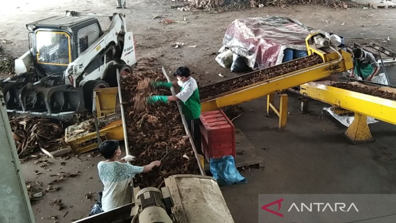 Proses pengolahan sampah organik dari masyarakat di Kabupaten Kudus untuk diolah menjadi pupuk kompos di kompleks Pusat Pembibitan Tanaman (PPT) Bakti Lingkungan Djarum Foundation (BLDF) di Desa Gondangmanis, Kecamatan Bae, Kabupaten Kudus, Rabu (23/11/2022). FOTO ANTARA/Akhmad Nazaruddin Lathif.