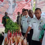 Pengunjung yang mendatangi stand pangan lokal Kabupaten dan kota di Papua Barat (ANTARA/Tri Adi Santoso)-1668595437
