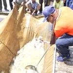 Penjabat Bupati Sorong Pan Piet Mosso memanen hasil budi daya ikan air tawar masyarakat setempat. (ANTARA/HO-Pemkab Sorong)-1668477836