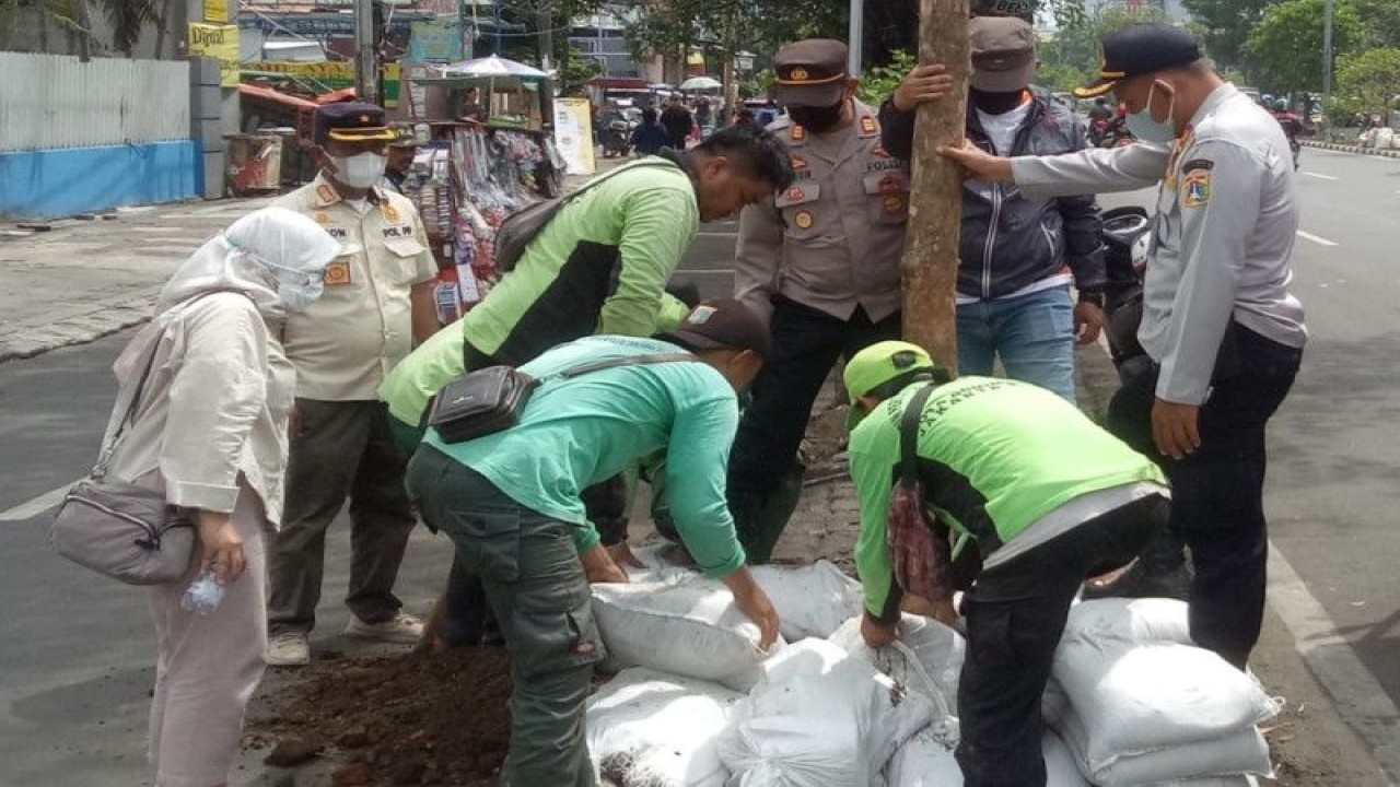 Petugas menanam pohon di Jalan Mangga Besar Raya, Taman Sari, Jakarta Barat, Minggu (20/11/2022). (ANTARA/HO-Kecamatan Taman Sari)