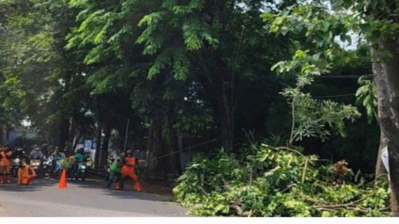 Petugas melakukan pemangkasan pohon rindang di Ciracas, Jakarta, Kamis (3/11/2022). ANTARA/HO-Kelurahan Cibubur