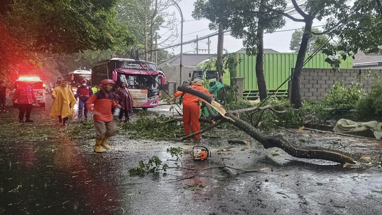 Petugas tengah membersihkan material pohon tumbang yang menutup akses jalan di Jalan Mayjend Sungkono, Kecamatan Kedungkandang, Kota Malang, Jawa Timur, Jumat (11/11/2022). (ANTARA/HO-Polsek Kedungkandang)