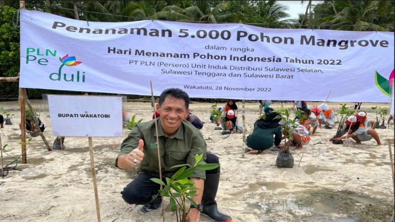 Bupati Wakatobi Haliana saat melakukan penanaman mangrove yang digelar oleh PLN UID Sulselrabar di Pantai Melaione, Wakatobi, Sulawesi Tenggara, Senin (28/11/2022). ANTARA Foto/HO-Humas PLN UID Sulselrabar