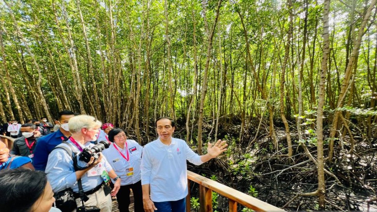 Presiden Jokowi mengobrol dengan para wartawan di Taman Hutan Raya (Tahura) Ngurah Rai, Bali pada Kamis (16/11/2022). (ANTARA/Laily Rachev - Biro Pers Sekretariat Presiden)