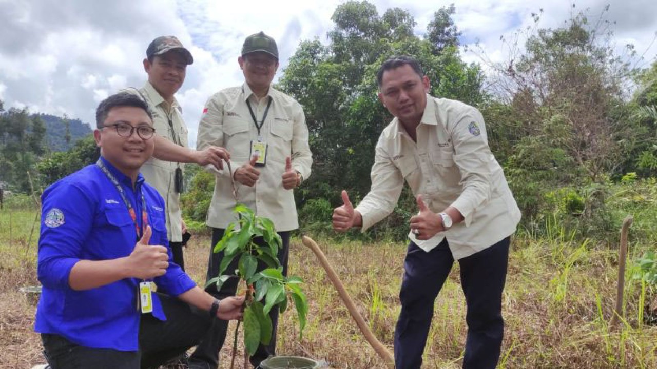 PT Angkasa Pura II Bandara Depati Amir Pangkalpinang menanam bibit buah di Tahura Bukit Mangkol, Bangka Tengah. (ANTARA/HO-Humas PT Angkasa Pura II Bandara Depati Amir)