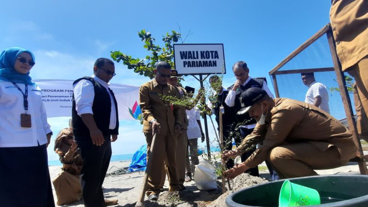 Wakil Wali Kota Pariaman, Sumbar Mardison Mahyuddin sedang menanam pohon pada penanaman 750 batang pohon yang merupakan program pertanggungjawaban sosial dan lingkungan PT PLN (Persero) di Pantai Ma'ruf Amin di Pariaman, Senin. ANTARA/Aadiaat M. S.