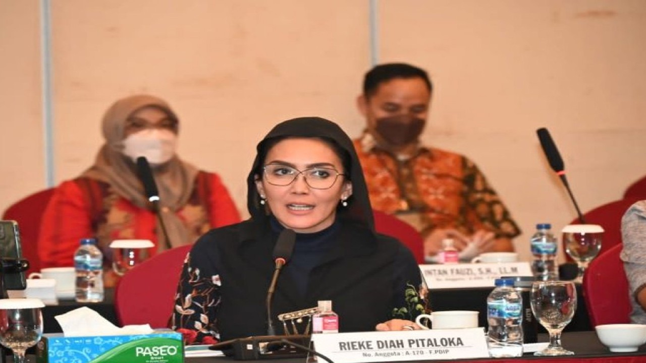 Duta Arsip Nasional Republik Indonesia Rieke Diah Pitaloka menyarankan agar Konferensi Tingkat Tinggi (KTT) G20 menghasilkan komunike bersama terkait kemanusiaan atau “Revolution of Mankind”. (ANTARA/Dokumentasi Pribadi)