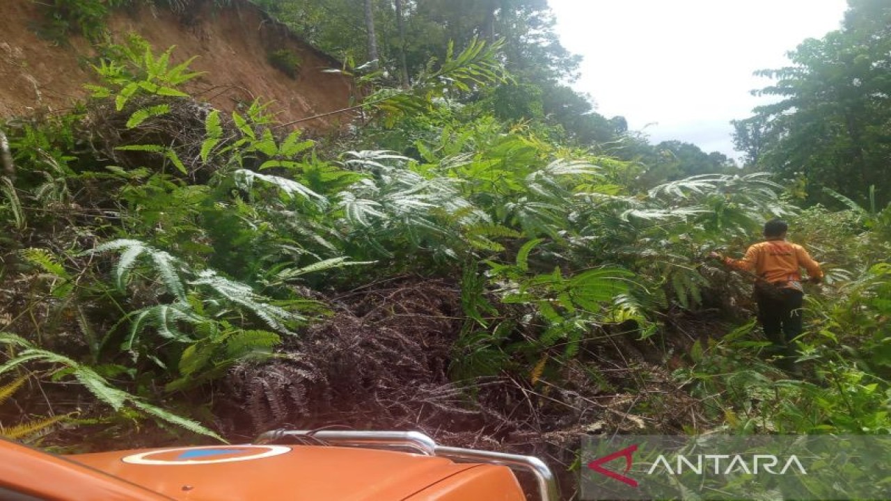 Tanah longsor yang terjadi di Kabupaten Lebong dan menutupi ruas jalan. ANTARA/Anggi Mayasari