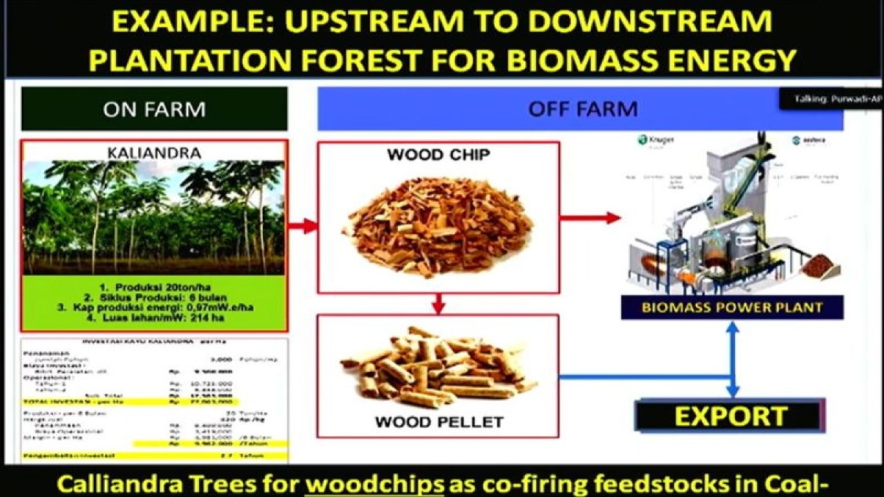 Tangkapan layar - presentasi biomassa kayu untuk mendukung transisi energi baru terbarukan (Antara/HO/APHI)
