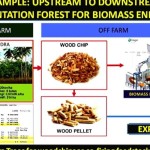 Tangkapan layar - presentasi biomassa kayu untuk mendukung transisi energi baru terbarukan (Antara/HO/APHI)-1668595609
