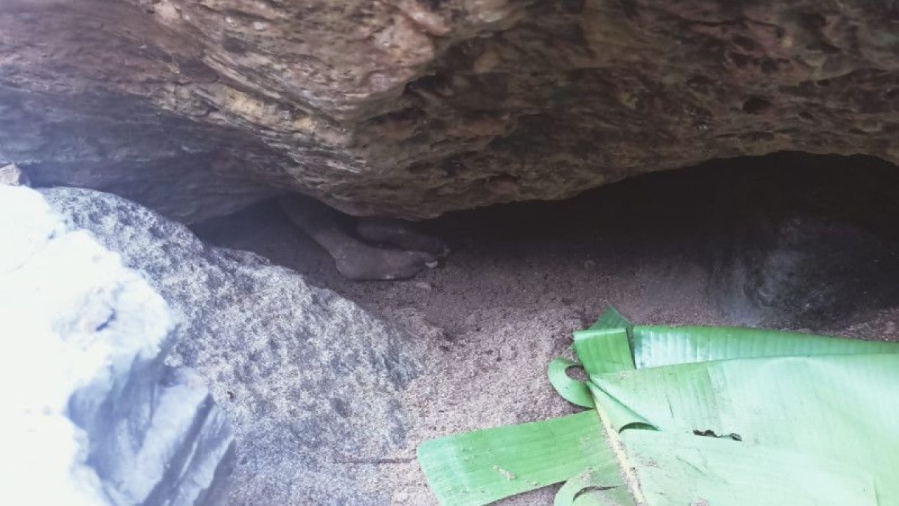 Tim SAR Gabungan mengevakuasi Yohanes Jordan Dondong (6) yang terseret arus Sungai Wae Togong, Kecamatan Lamba Leda Timur, Manggarai Timur, NTT yang ditemukan dalam gua batu dan tertimbun pasir, Rabu (23/11/2022). (ANTARA/HO-Dokumentasi Pribadi)