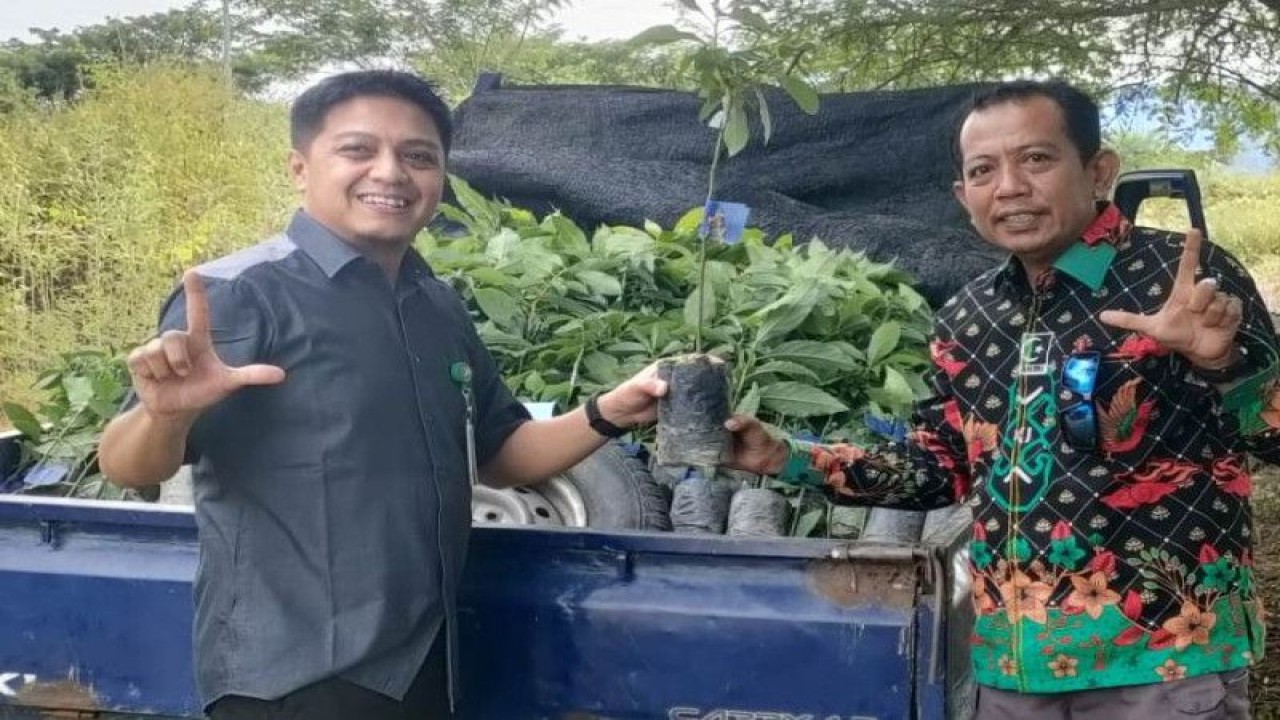 Kepala UPT Perpustakaan UIN Datokarama Rifai (kanan) menerima bibit pohon dari pihak BPDASHL Palu-Poso, berlangsung di Sigi. (Dok UPT Perpustakaan UIN Datokarama)