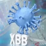 virus Omicron varian XBB-1668513871