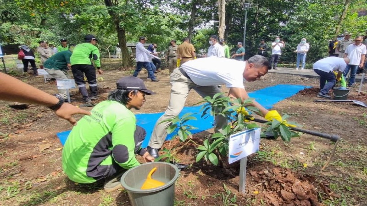 Wali Kota Jakarta Selatan Munjirin menanam pohon di Jagakarsa, Jakarta, Senin (28/11/2022). ANTARA/HO-Kominfotik Jakarta Selatan