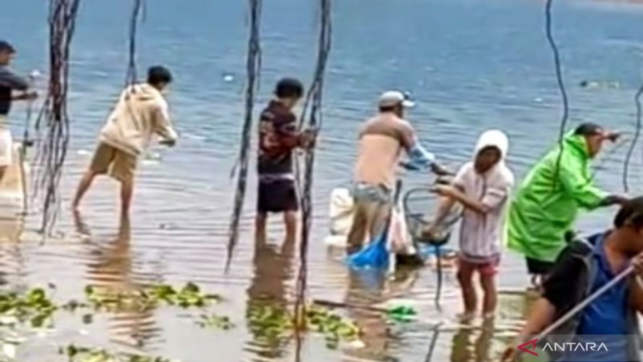 Warga menangkap ikan yang muncul di Danau Maninjau, Senin (21/11/2022). (Antara/Yusrizal)