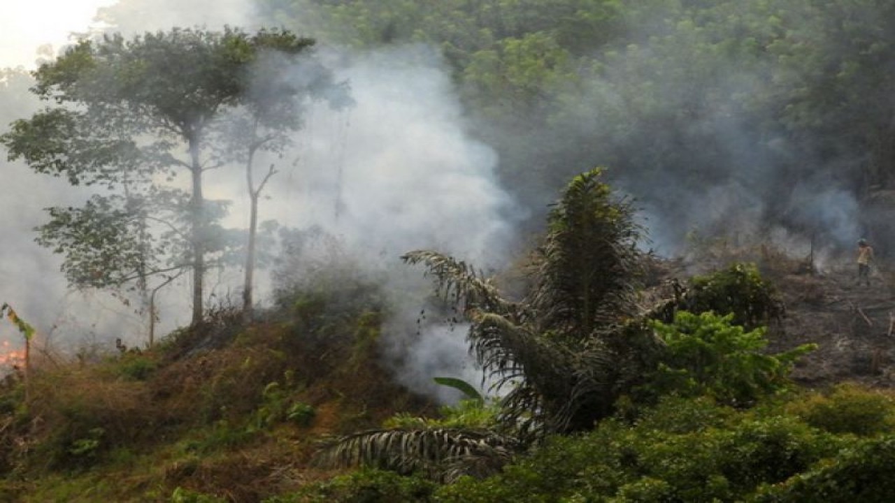 Arsip Foto. Peladang membuka lahan dengan cara membakar di kawasan Desa Loa Lepu, Tenggarong Seberang, Kutai Kartanegara, Kalimantan Timur. Pembukaan lahan dengan cara itu bisa menyebabkan kebakaran hutan. (ANTARA/ANDIKA WAHYU)