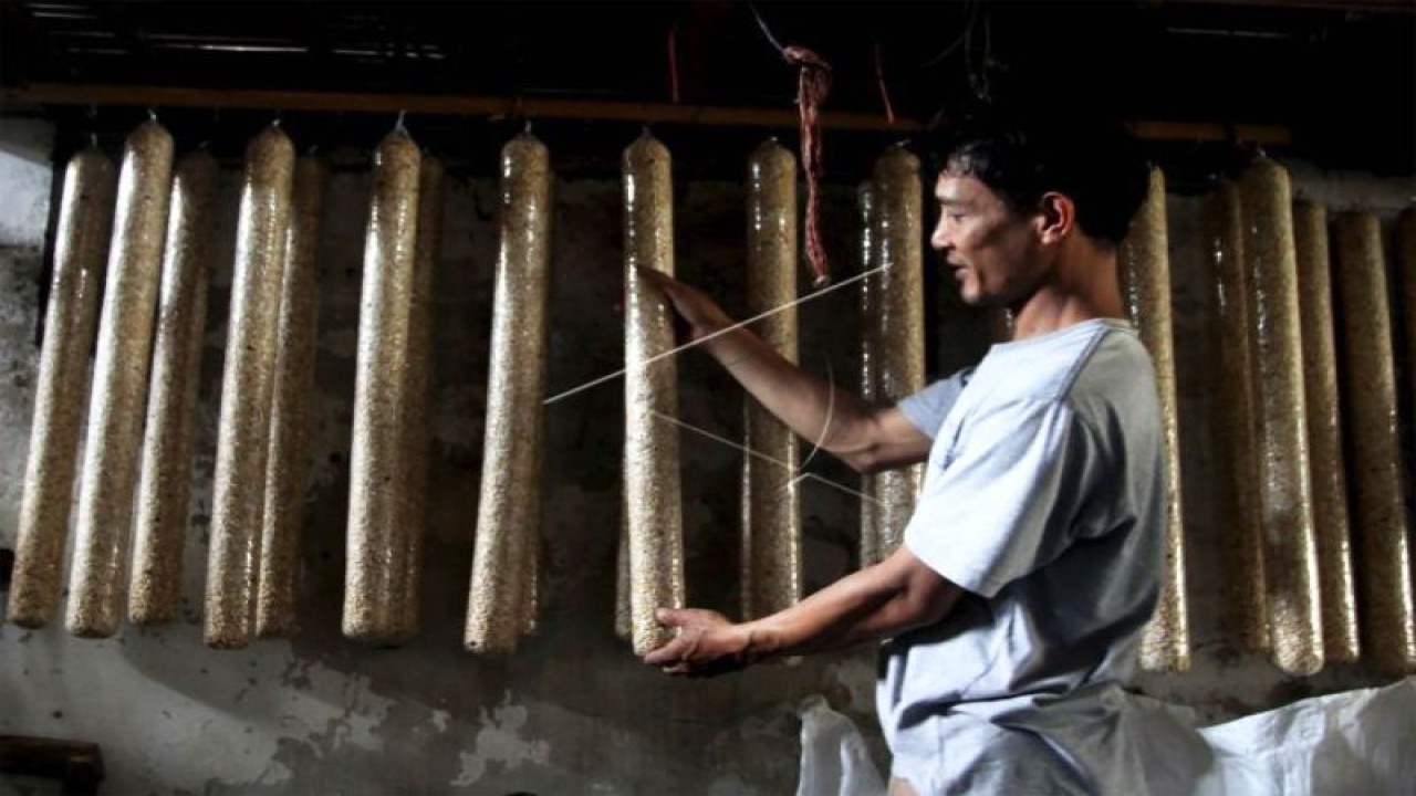 Foto arsip. Perajin menata tempe buatannya di sentra industri tahu dan tempe di Sanan, Kota Malang, Jawa Timur, Senin (21/11/2022). (ANTARA FOTO/Ari Bowo Sucipto/aww.)