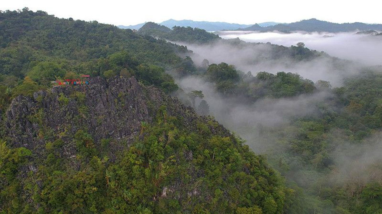 Foto udara kawasan wisata karst Bukit Tamulun, Desa Berkun, Limun, Sarolangun, Jambi, Rabu (17/11/2021). Karst Bukit Tamulun yang berada di hutan adat Tamulun Indah di bagian hulu Sungai Batang Limun merupakan salah satu wisata alam potensial namun tengah menghadapi ancaman perluasan aktivitas penambangan emas tanpa izin di bagian hilirnya. ANTARA FOTO/Wahdi Septiawan/wsj. (ANTARA FOTO/Wahdi Septiawan)