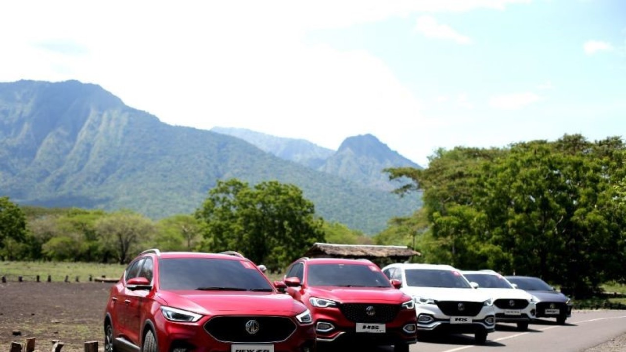 Jajaran MG HS dan MG ZS difoto di kawasan Taman Nasional Baluran, Situbondo, Jawa Timur, Rabu (7/12/2022). (ANTARA/MG Motor Indonesia)