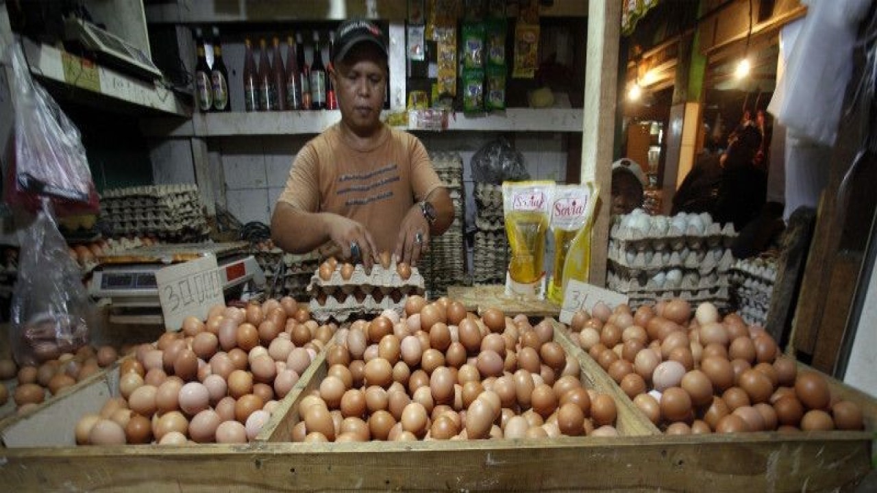 Pedagang menata telur yang dijual di Pasar Cibinong, Kabupaten Bogor, Jawa Barat, Kamis (1/12/2022). Berdasarkan PP-49/2022 maka kelompok barang kebutuhan pokok meliputi beras, gabah, jagung, sagu, kedelai, garam, daging, telur, susu, buah-buahan dan sayur-sayuran dengan kriteria barang yang sesuai dibebaskan dari pengenaan PPN. (ANTARA FOTO/YULIUS SATRIA WIJAYA)