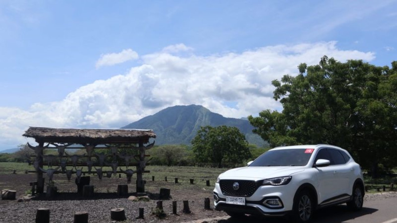 MG ZS yang difoto di kawasan Taman Nasional Baluran, Situbondo, Jawa Timur, Rabu (7/12/2022). (ANTARA/Arnidhya Nur Zhafira)