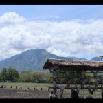 Pemandangan di kawasan Taman Nasional Baluran, Situbondo, Jawa Timur, Rabu (7/12/2022). (ANTARA/Arnidhya Nur Zhafira)-1670736325