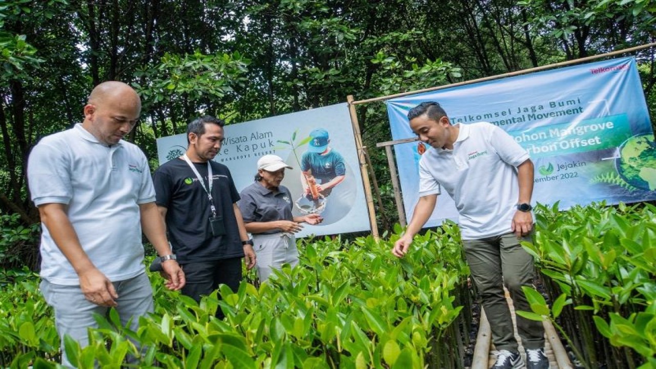 Vice President Corporate Communications Telkomsel Saki Hamsat Bramono (kanan) mengunjungi salah satu tempat pembibitan tanaman Mangrove untuk mendukung program percepatan pengurangan emisi karbon. ANTARA/HO-Humas Telkomsel