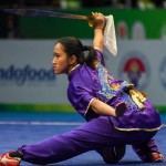 Wushu-1670410574