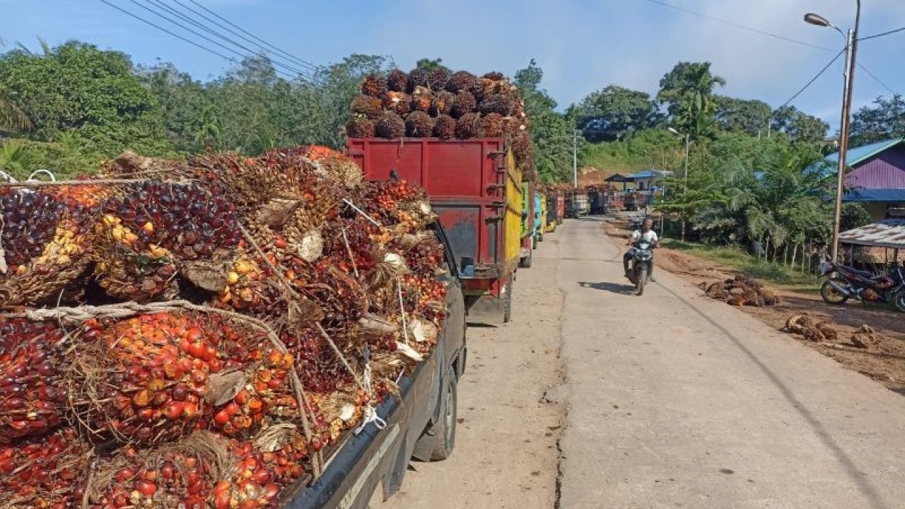 Bengkulu perketat penyaluran bantuan PSR. ANTARA/Anggi Mayasari