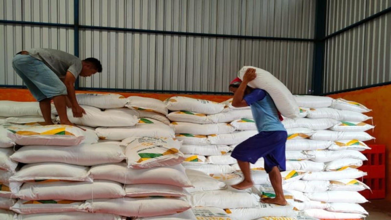 Aktivitas bongkar muat beras di Gudang Bulog Putussibau, wilayah Kapuas Hulu Kalimantan Barat. ANTARA (Teofilusianto Timotius)