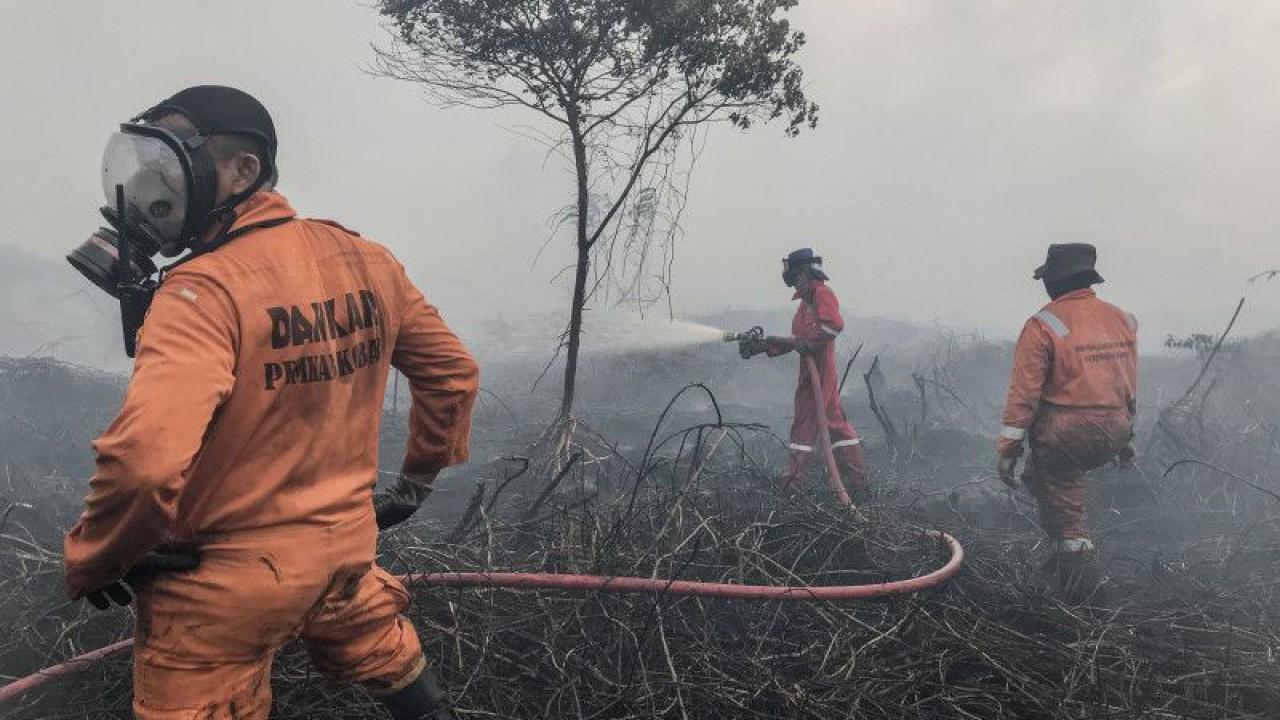 Petugas pemadam kebakaran melakukan proses pendinginan lahan gambut yang terbakar di Desa Natai Baru, Pangkalan Bun, Kotawaringin Barat, Kalimantan Tengah, Senin (2/1/2023). ANTARA FOTO/Ario Tanoto/mz/wsj.