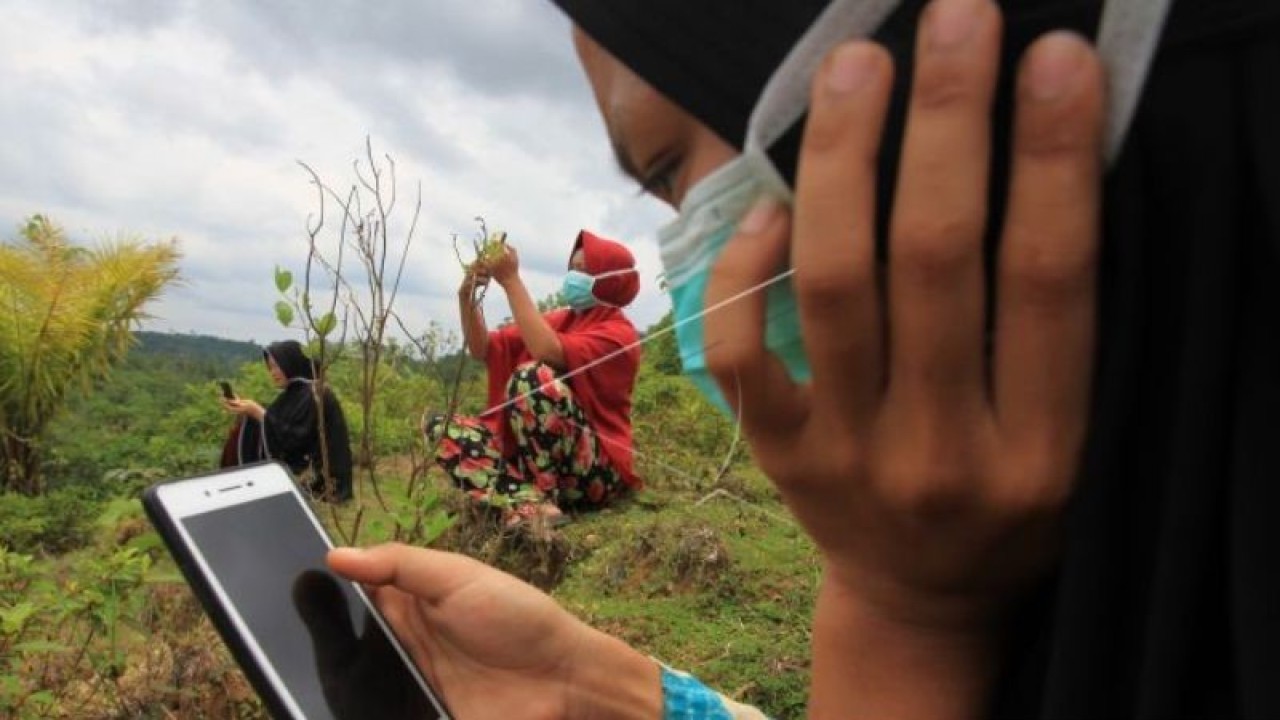 Sejumlah pelajar dan mahasiswa mengikuti proses belajar mengajar dalam jaringan (daring) di atas pengunungan supaya bisa mendapat sinyal di Desa Cangai, Pante Ceureumen, Aceh Barat, Aceh, Rabu (26/8/2020). (ANTARA FOTO/Syifa Yulinnas/aww.)