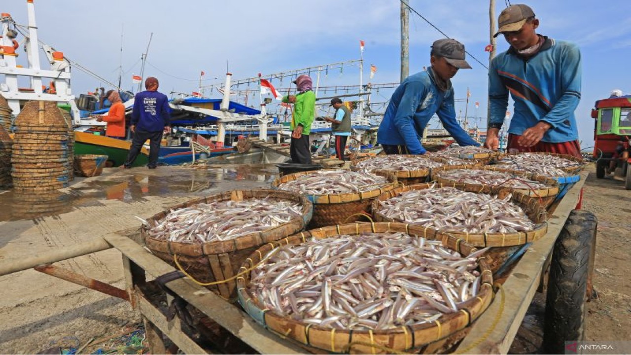 Nelayan mengangkat ikan hasil tangkapan di Pelabuhan Dadap, Juntinyuat, Indramayu, Jawa Barat, Rabu (11/1/2023). ANTARA FOTO/Dedhez Anggara/rwa.