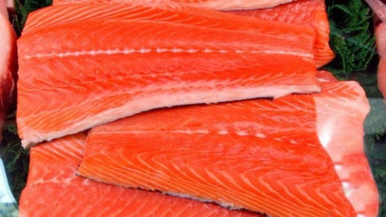 Ilustrasi - Daging ikan salmon, salah satu sumber protein hewani. ANTARA/REUTERS/Lucy Nicholson/am.