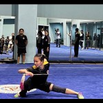 tim Wushu-1674195356