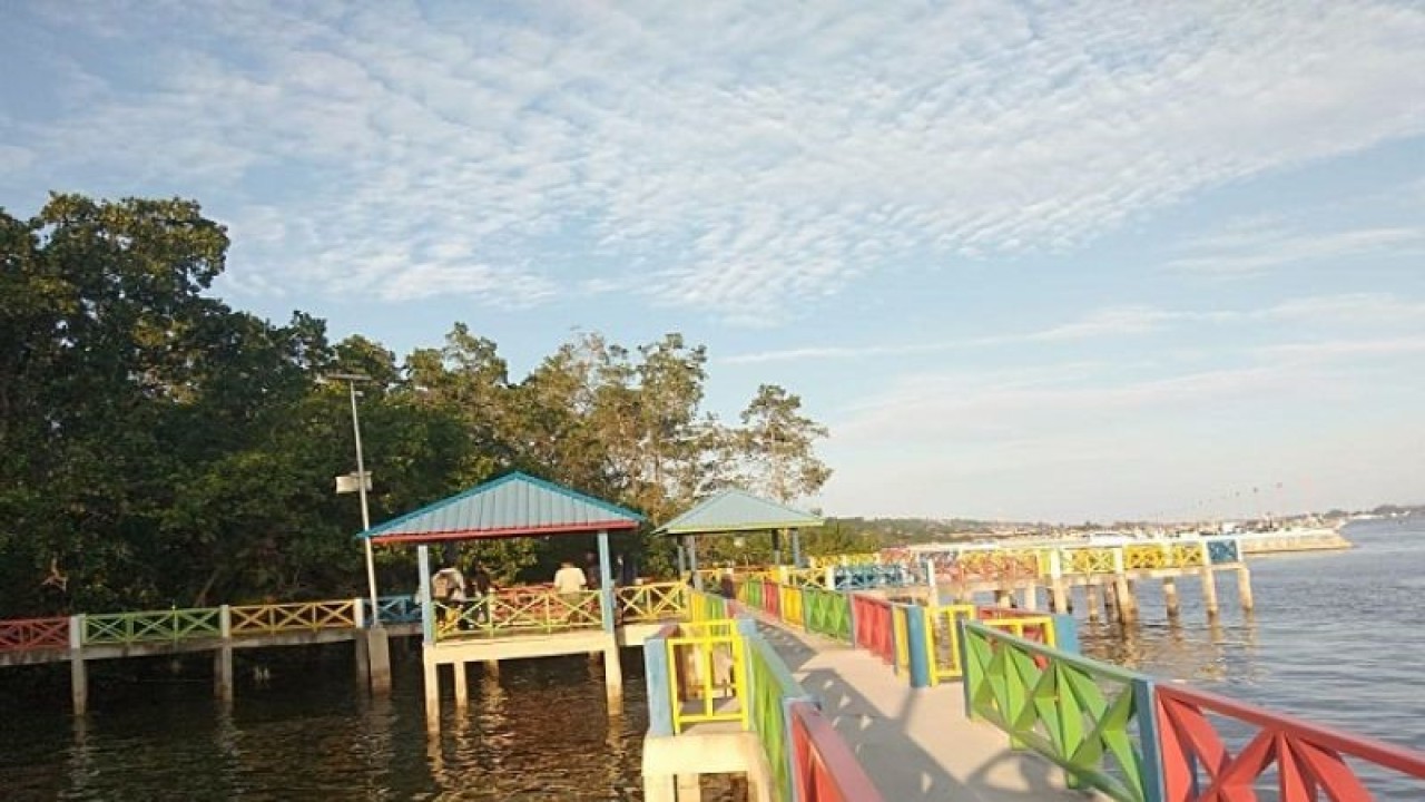 Kawasan wisata Mangrove di Kota Kendari jadi tempat berwisata yang mudah dan murah di Kota Kendari. ANTARA/Azis Senong