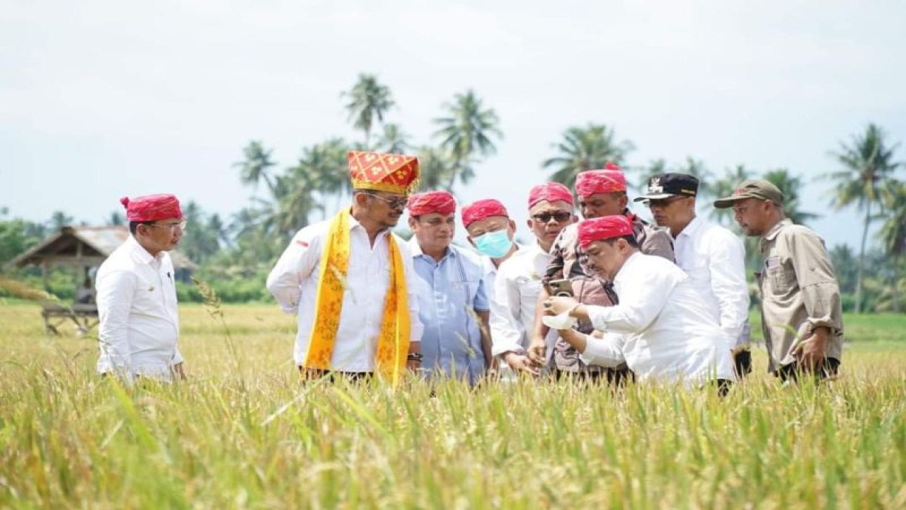 Menteri Pertanian Syahrul Yasin Limpo didampingi Wakil Gubernur Sulteng Ma'mun Amir, Bupati Sigi Mohamad Irwan, dan Kepala Dinas TPHP Sigi Rahmad Iqbal Nurkhalis memanen padi di Desa Sidera, Kecamatan Sigi Biromaru, Kabupaten Sigi, Ahad (19/2/2023). ANTARA/HO-Prokopim Setda Pemkab Sigi