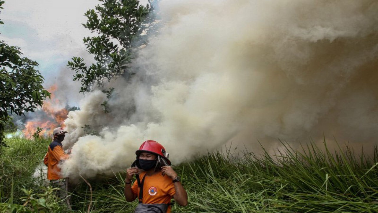 Arsip Foto. Petugas berusaha memadamkan kebakaran lahan di Kota Pekanbaru, Provinsi Riau, Jumat (2/4/2021). (ANTARA FOTO/Rony Muharrman/hp)