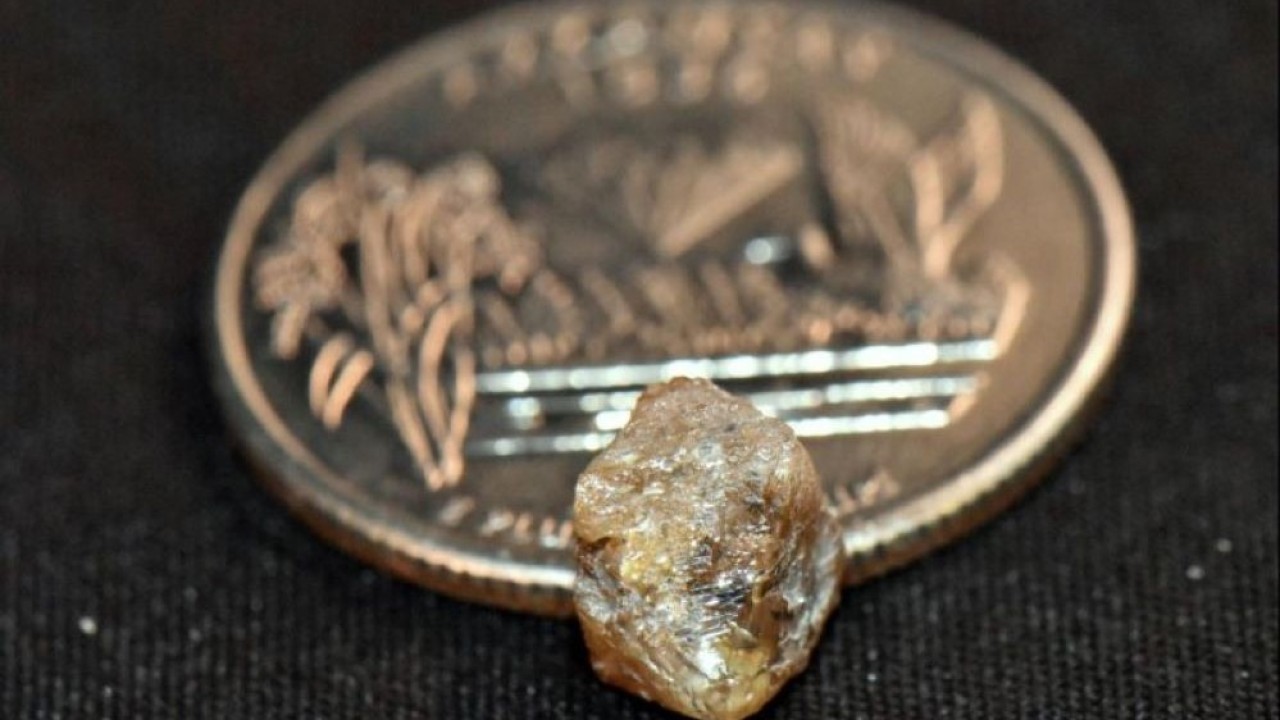 David Anderson sedang mengunjungi Taman Crater of Diamond di Arkansas, Amerika Serikat (AS), ketika dia menemukan berlian 3,29 karat, yang menjadi penemuan terbesar di taman itu sejak September 2021. (Arkansas State Park)