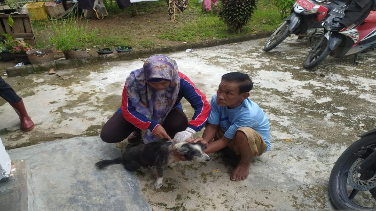 Petugas memberikan suntikan vaksin anti rabies pada hewan peliharaan guna mencegah penularan penyakit rabies. (ANTARA/Edo Purmana)