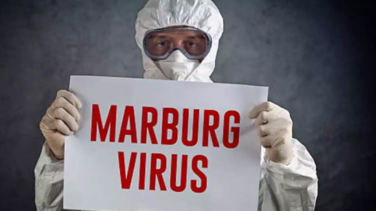 Ilustrasi. Virus Marburg. (Times of India)