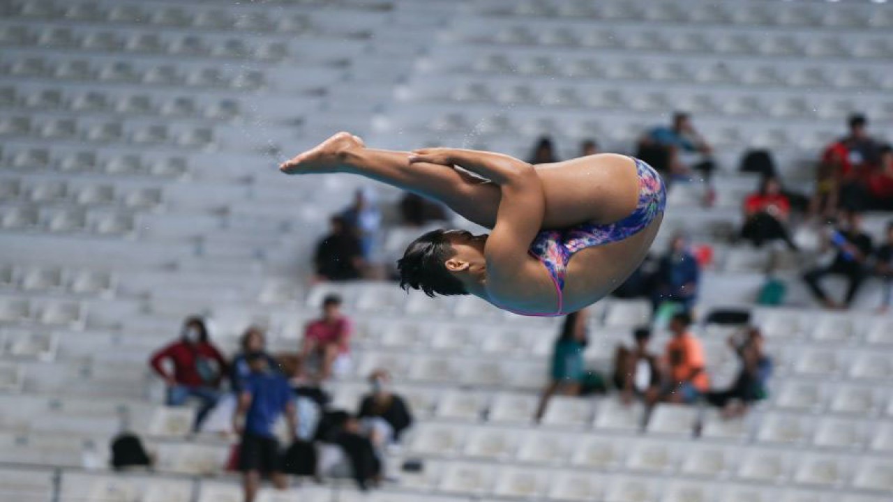 Atlet loncat indah Gladies Lariesa Garina melakukan loncatan papan 1 meter putri pada Indonesia Open Aquatic Championship (IOAC) 2022 di Stadion Akuatik Gelora Bung Karno, Senayan, Jakarta, Jumat (16/12/2022). Sebanyak 1500 atlet dari empat displin olahraga air mengikuti IOAC 2022 yang menjadi ajang kompetisi bergengsi antar klub seluruh Indonesia serta menjadi salah satu ajang seleksi nasional untuk promosi-degradasi pelatnas menuju SEA Games 2023 Kamboja. ANTARA FOTO/Rivan Awal Lingga/foc.