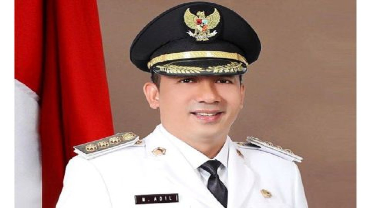 Bupati Meranti Muhammad Adil. (Net)