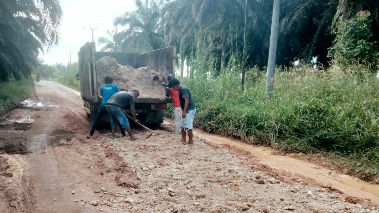 Para supir angkutan kelapa sawit gotong royong perbaiki jalan di desa Tanjung Benung Kabupaten Merangin Jambi.