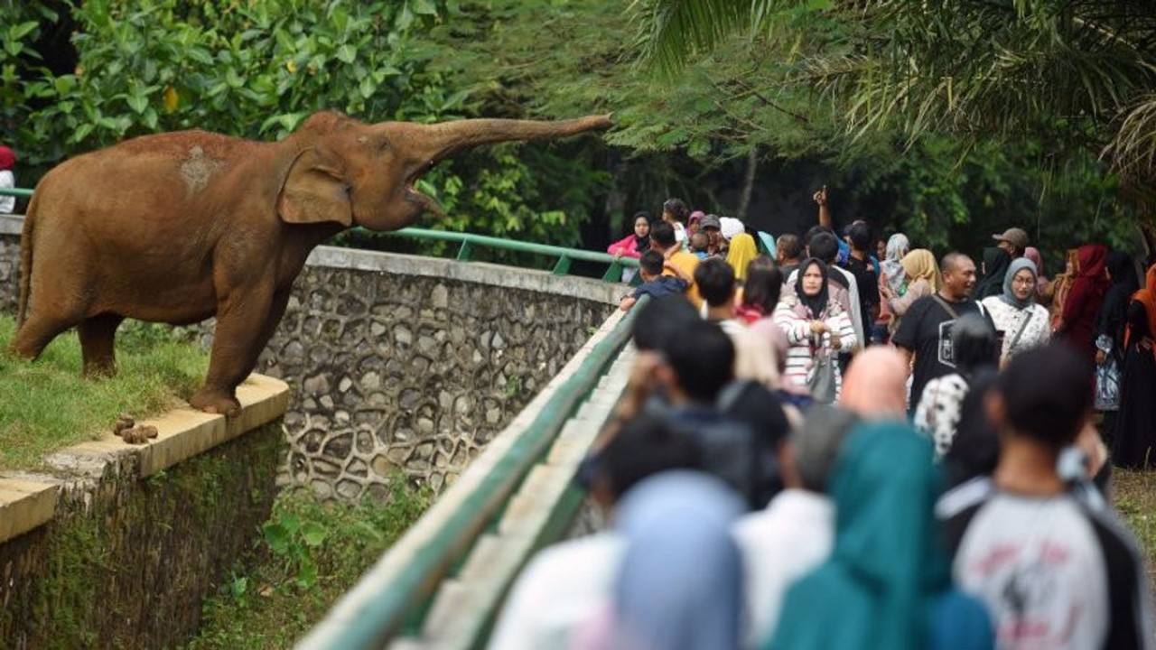 Ilustrasi pengunjung Taman Margasatwa Ragunan/ist 