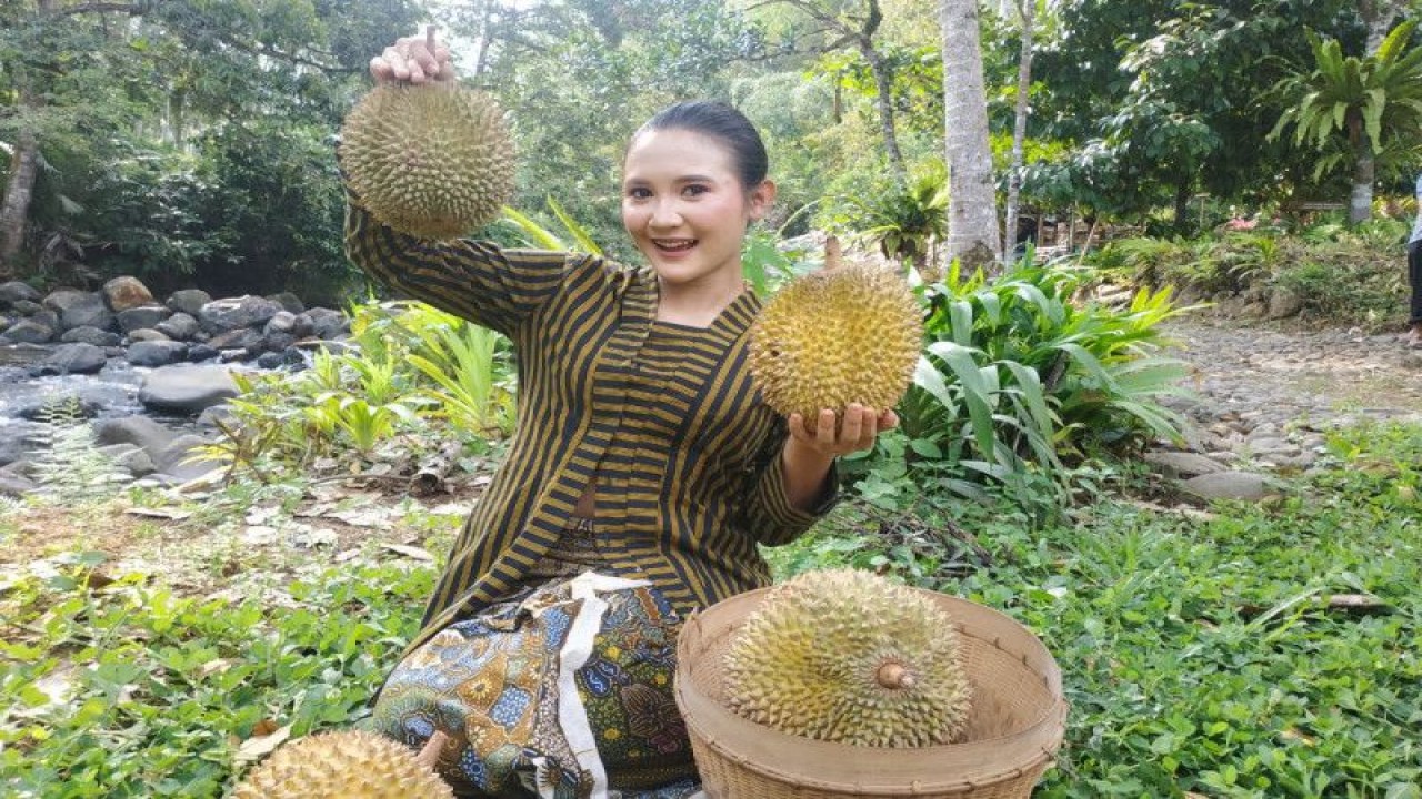 Model berpose dengan memegang buah durian unggulan lokal di taman wisata Durensari, Desa Sawahan, Kecamatan Watulimo Trenggalek (ANTARA/HO - Humas Pemkab Trenggalek)