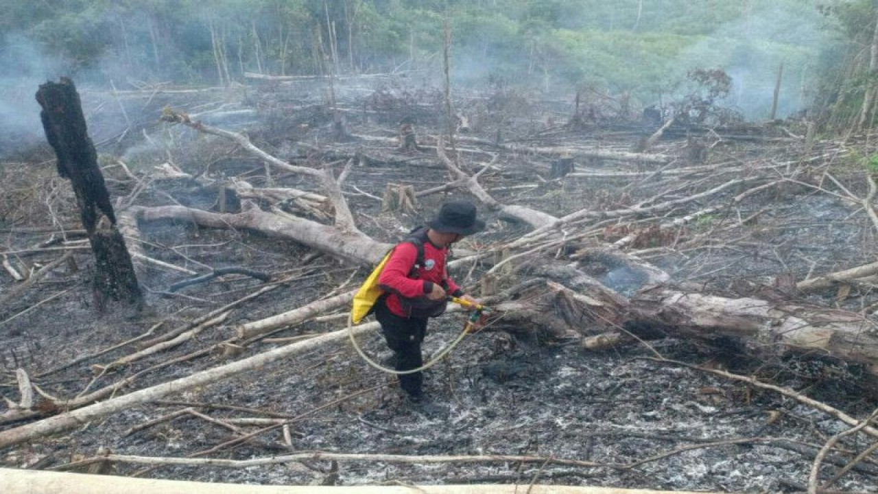 Ilustrasi - Petugas dari Pusdalops BPBD Kabupaten Penajam Paser Utara, Kaltim, memadamkan api saat terjadi kebakaran lahan di kabupaten tersebut pada 2021 (Antara / HO Pusdalops Kabupaten PPU)