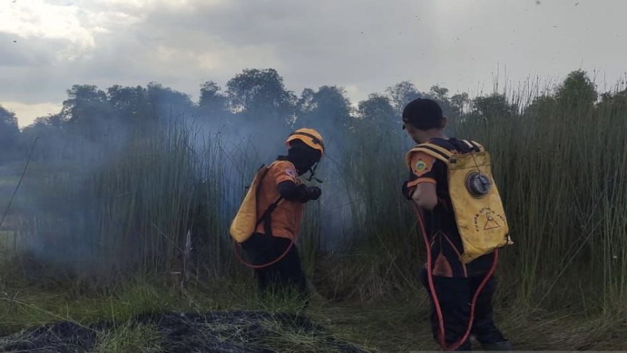 Tim Satgas Badan Penanggulangan Bencana Daerah (BPBD) Provinsi Kalimantan Selatan (Kalsel) sedang memadamkan api yang melanda lahan di Kampung Purun, Kelurahan Guntung Manggis, Kecamatan Landasan Ulin, Kota Banjarbaru, Kamis (25/5/2023). (ANTARA/HO-BPBD Kalsel)