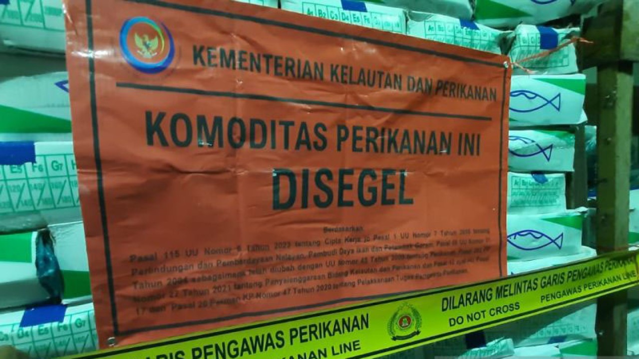 KKP menyegel 971 kotak berisi 9,7 ton ikan impor beku jenis salem atau Frozen Pacific Mackarel di tiga gudang ikan di Kalimantan Barat. ANTARA/ (Humas KKP)